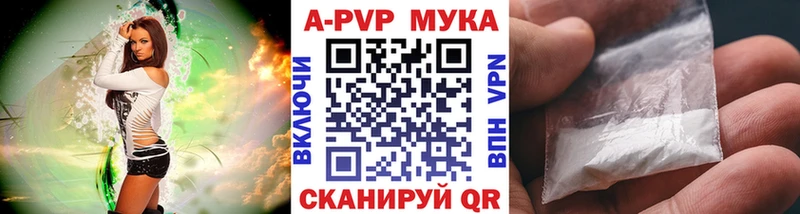 Alfa_PVP СК КРИС  Тайга 