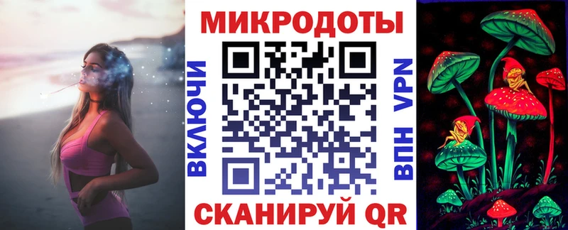 закладка  Тайга  Псилоцибиновые грибы Psilocybine cubensis 
