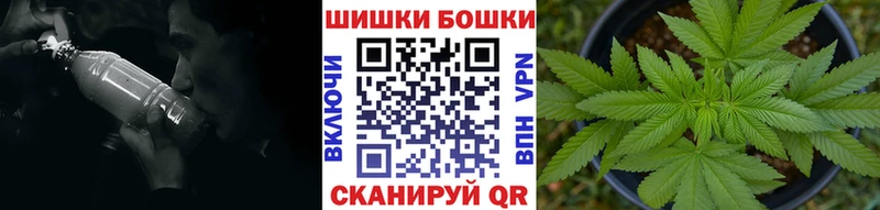 ссылка на мегу как войти  Тайга  Шишки марихуана гибрид 